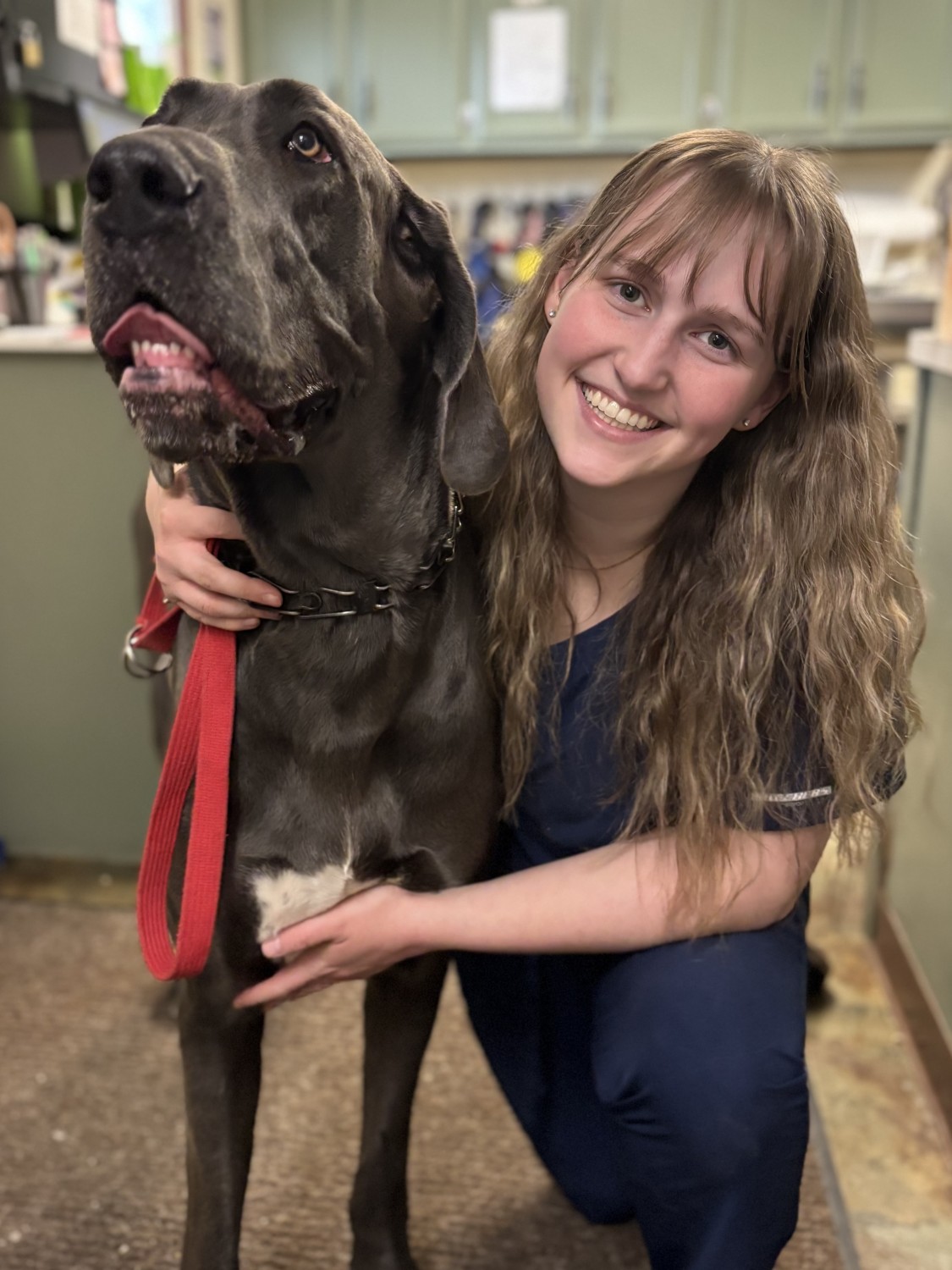 Taylor Casto - Veterinary Assistant